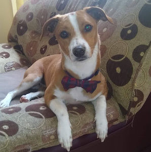 Meet your Posher, Angie